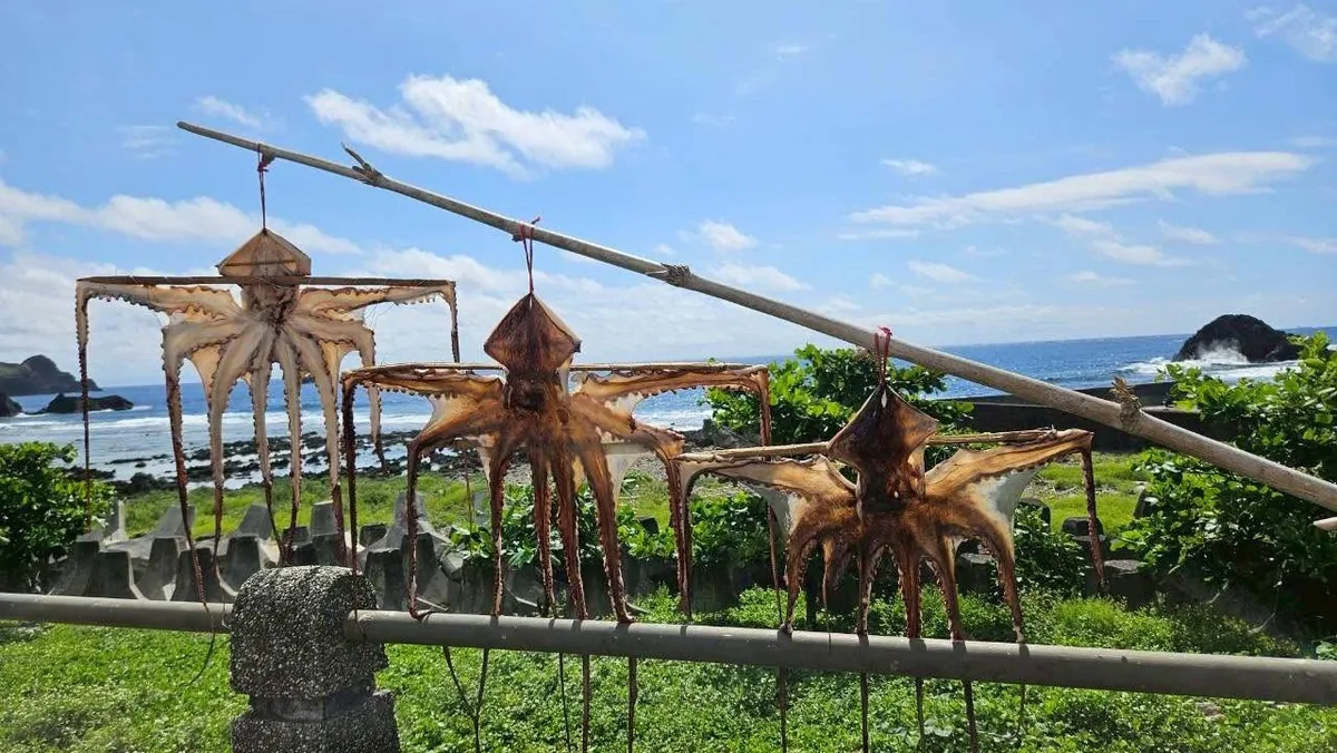 路旁的飛魚造型裝置藝術,背後是海