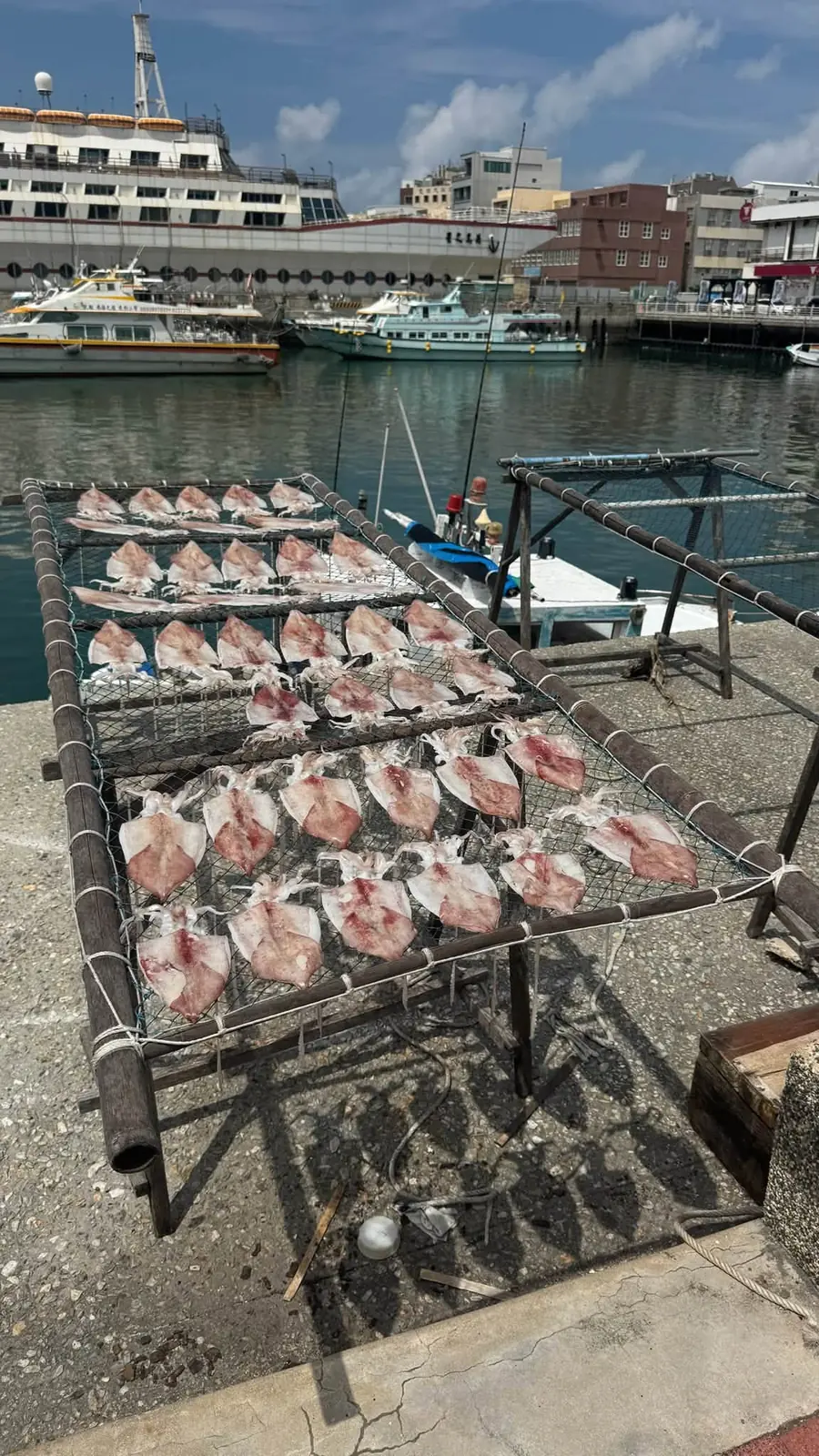 漁港邊的曬魚架,架上整齊排滿剖開曝曬的魚